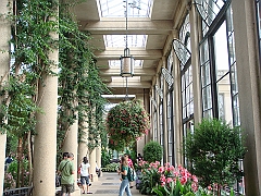 259 Longwood Gardens [2008 August 23]